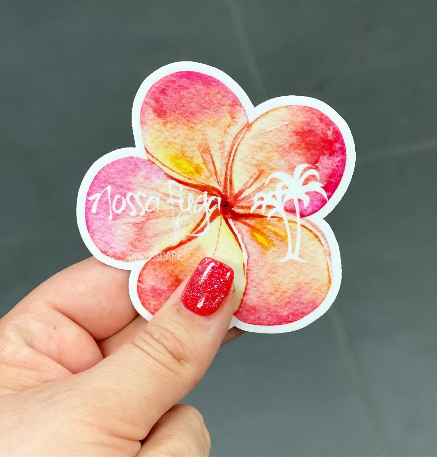Custom printing by Sierra Stickers